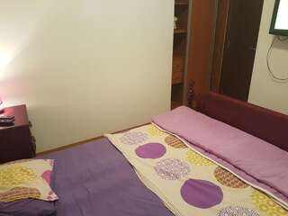 Апартаменты Apartman Donja Lastva Тиват-5